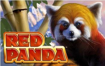 Red Panda