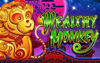 Wealthy Monkey